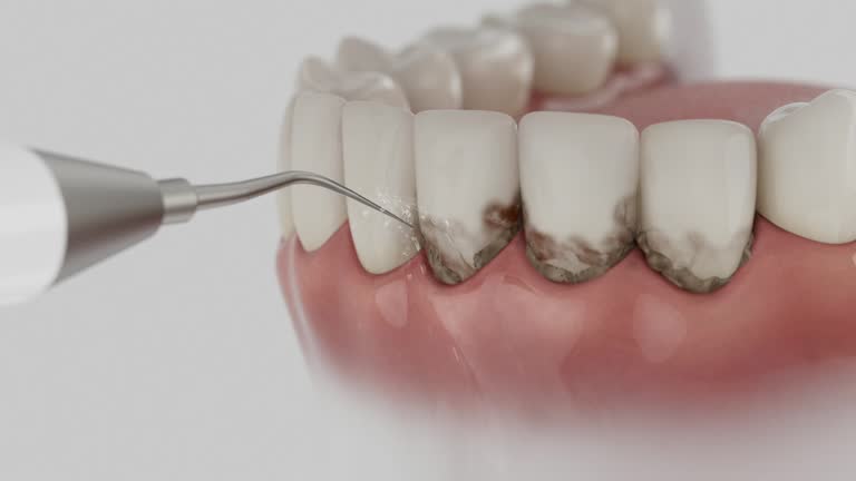 Reliable Dental contractor in Ponchatoula, LA by Dentist Open Now